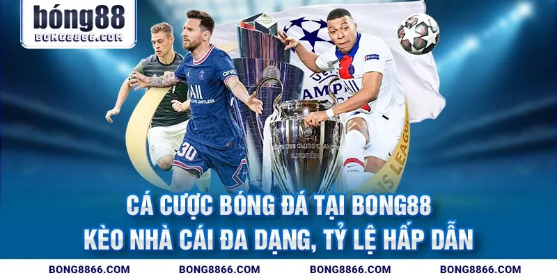 Cá cược bóng đá tại Bong88 - Kèo nhà cái đa dạng, tỷ lệ hấp dẫn